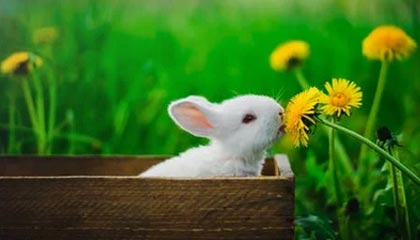 肇庆伴游，定制QQ：3494206190微信：act1322